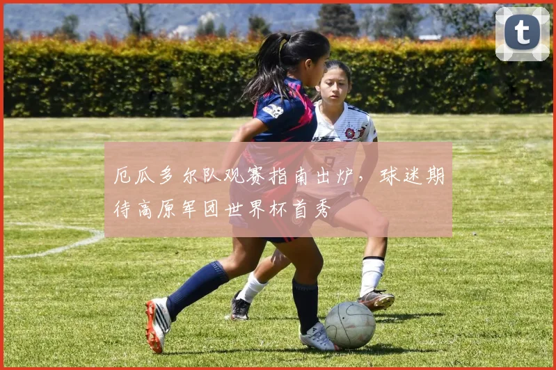 厄瓜多尔队观赛指南出炉,球迷期待高原军团世界杯首秀