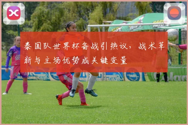 泰国队世界杯备战引热议,战术革新与主场优势成关键变量