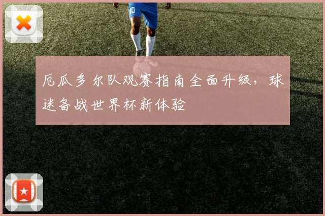 厄瓜多尔队观赛指南全面升级,球迷备战世界杯新体验