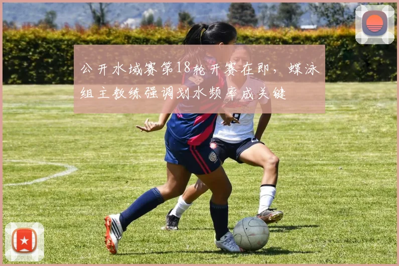 公开水域赛第18轮开赛在即,蝶泳组主教练强调划水频率成关键